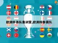 欧洲杯各队集训营,欧洲杯参赛队